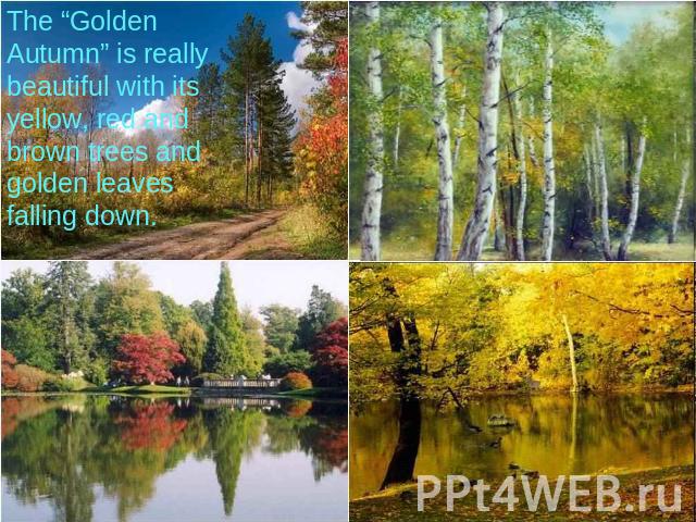 The “Golden Autumn” is really beautiful with its yellow, red and brown trees and golden leaves falling down.