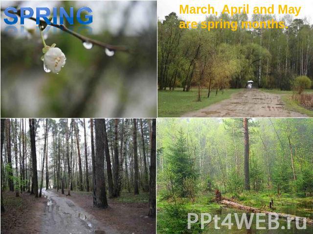 spring March, April and May are spring months.