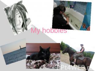 My hobbies