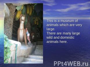 This is a museum of animals which are very large.There are many large wild and d