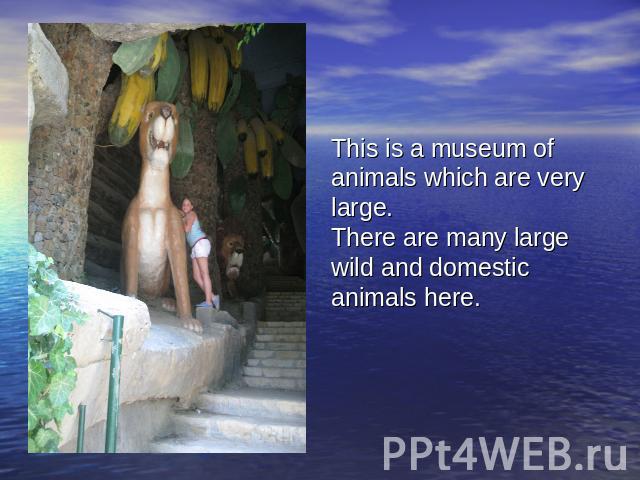 This is a museum of animals which are very large.There are many large wild and domestic animals here.