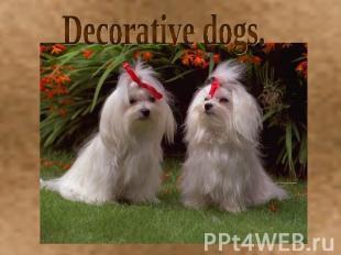 Decorative dogs.