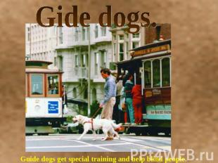 Gide dogs. Guide dogs get special training and help blind people.