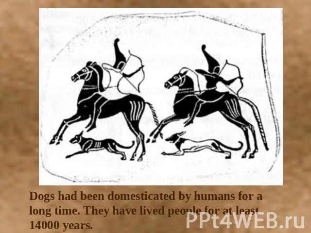 Dogs had been domesticated by humans for a long time. They have lived people for at least 14000 years.