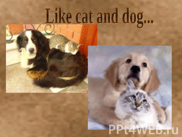 Like cat and dog...