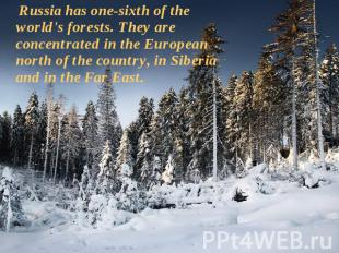 Russia has one-sixth of the world's forests. They are concentrated in the Europe