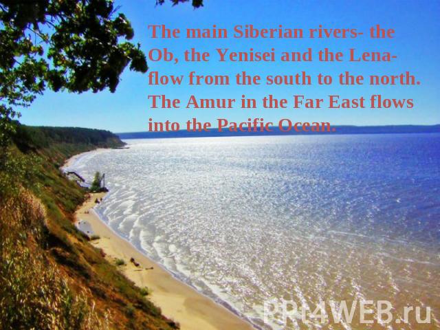 The main Siberian rivers- the Ob, the Yenisei and the Lena- flow from the south to the north. The Amur in the Far East flows into the Pacific Ocean.