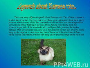 Legends about Siamese cats There are many different legends about Siamese cats.