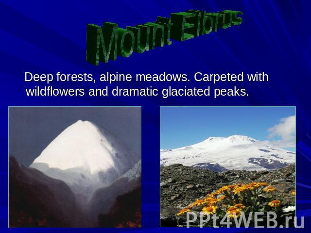 Mount Elbrus Deep forests, alpine meadows. Carpeted with wildflowers and dramatic glaciated peaks.