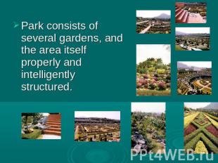 Park consists of several gardens, and the area itself properly and intelligently