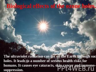 Biological effects of the ozone holes. The ultraviolet radiation can get on the