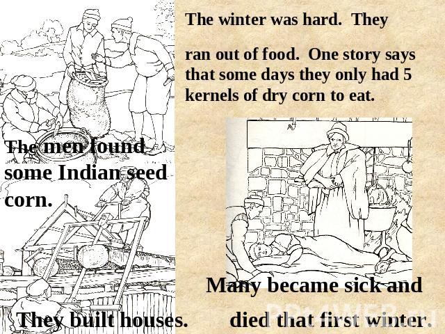 ran out of food. One story says that some days they only had 5 kernels of dry corn to eat. The men found some Indian seed corn. died that first winter. They built houses. Many became sick and