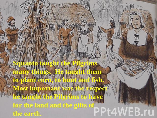 Squanto taught the Pilgrims many things. He taught them to plant corn, to hunt and fish. Most important was the respect he taught the Pilgrims to have for the land and the gifts of the earth.