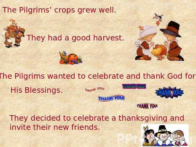 The Pilgrims’ crops grew well. They had a good harvest. The Pilgrims wanted to celebrate and thank God for His Blessings. They decided to celebrate a thanksgiving and invite their new friends.
