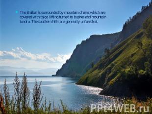 The Baikal is surrounded by mountain chains which are covered with taiga lifting