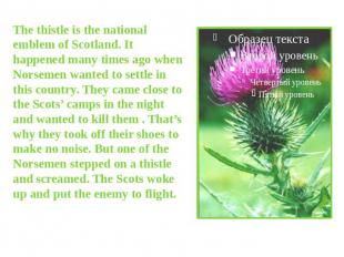 The thistle is the national emblem of Scotland. It happened many times ago when