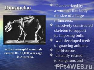 Diprotodon characterized by a wombat-like body the size of a large rhinoceros. m