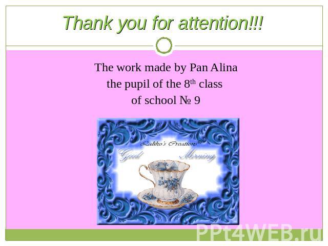 Thank you for attention!!! The work made by Pan Alinathe pupil of the 8th class of school № 9