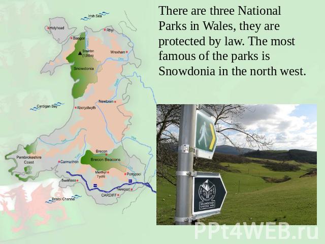 There are three National Parks in Wales, they are protected by law. The most famous of the parks is Snowdonia in the north west.