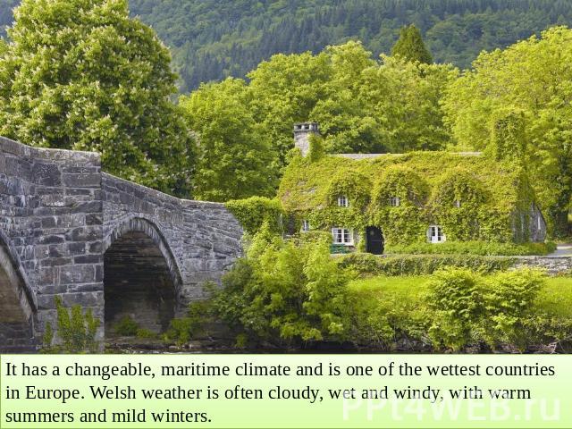 It has a changeable, maritime climate and is one of the wettest countries in Europe. Welsh weather is often cloudy, wet and windy, with warm summers and mild winters.