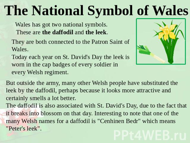 The National Symbol of Wales Wales has got two national symbols. These are the daffodil and the leek. They are both connected to the Patron Saint of Wales.Today each year on St. David's Day the leek is worn in the cap badges of every soldier in ever…