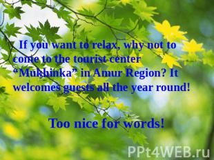 If you want to relax, why not to come to the tourist center “Mukhinka” in Amur R