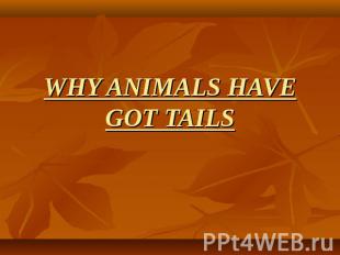 Whu animals have got tals
