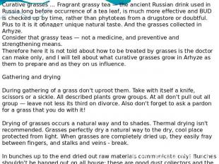 Curative grasses … Fragrant grassy tea — the ancient Russian drink used in Russi