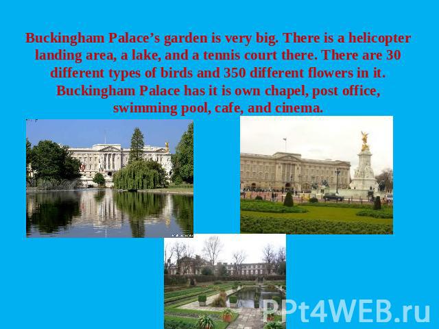 Buckingham Palace’s garden is very big. There is a helicopter landing area, a lake, and a tennis court there. There are 30 different types of birds and 350 different flowers in it. Buckingham Palace has it is own chapel, post office, swimming pool, …