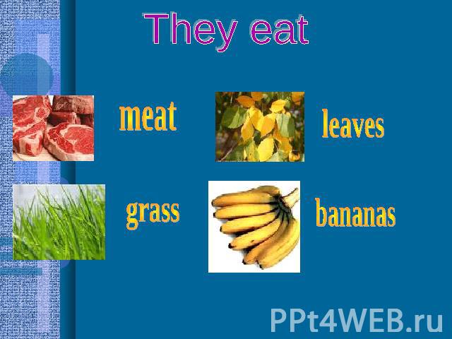 They eat meat grass leaves bananas