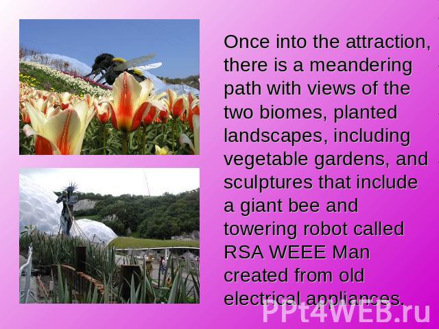 Once into the attraction, there is a meandering path with views of the two biomes, planted landscapes, including vegetable gardens, and sculptures that include a giant bee and towering robot called RSA WEEE Man created from old electrical appliances.
