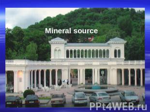 Mineral source