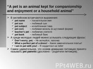 “A pet is an animal kept for companionship and enjoyment or a household animal”