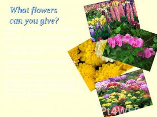 What flowers can you give? To close people which taste you well know,it is bette