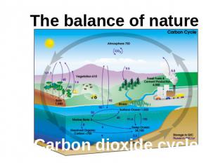 The balance of nature Carbon dioxide cycle