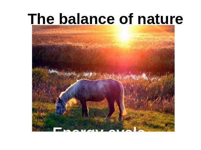 The balance of nature Energy cycle