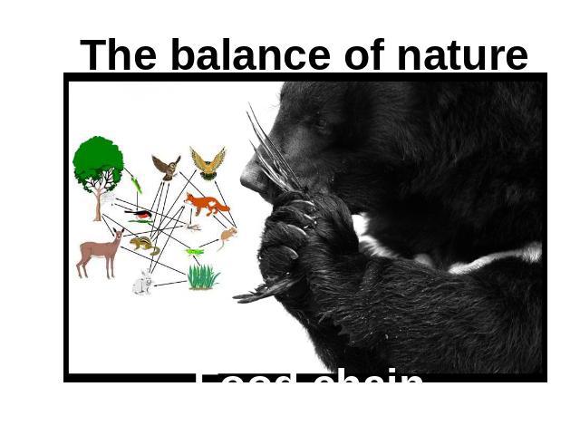 The balance of nature Food chain