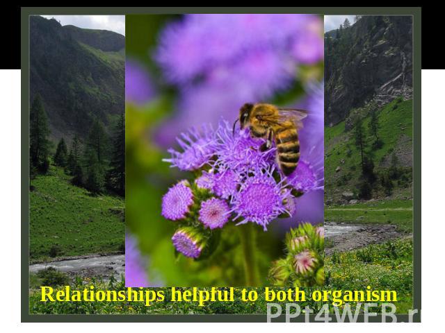 Relationships helpful to one organism