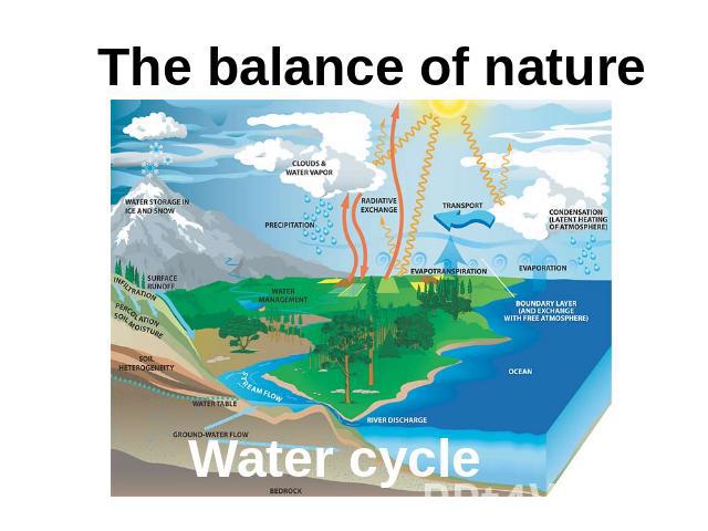 The balance of nature Water cycle