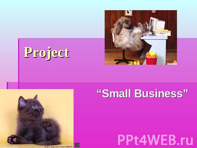 Project “Small Business”