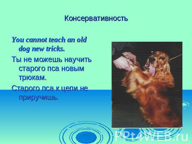 Консервативность You cannot teach an old dog new tricks.Ты не можешь научить старого пса новым трюкам.Старого пса к цепи не приручишь.