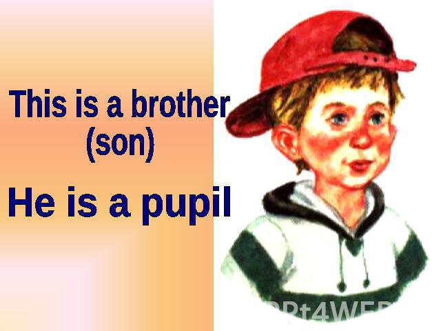 This is a brother (son) He is a pupil