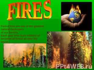 FIRES Forest fires are one of the greatest natural destroyers of our forests.Eac