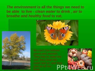 The environment is all the things we need to be able to live - clean water to dr