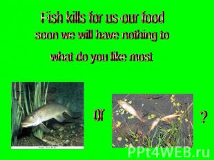 Fish kills for us-our food soon we will have nothing to what do you like most
