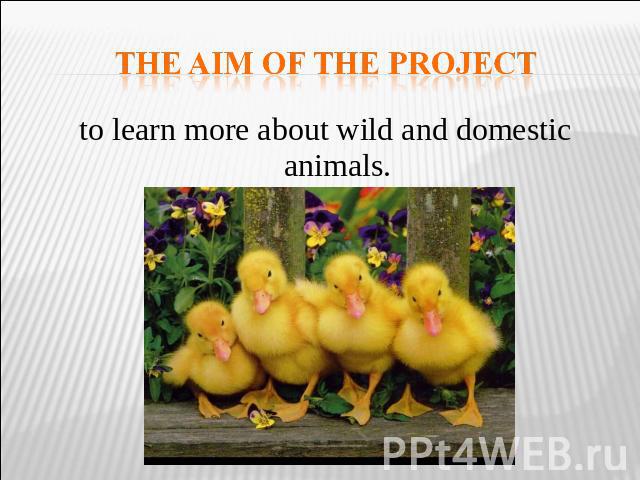 The aim of the project to learn more about wild and domestic animals.
