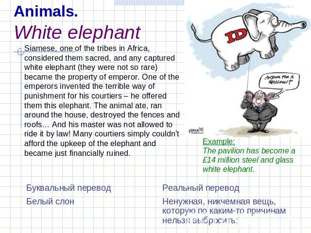 Animals.White elephant Siamese, one of the tribes in Africa, considered them sacred, and any captured white elephant (they were not so rare) became the property of emperor. Оne of the emperors invented the terrible way of punishment for his courtier…