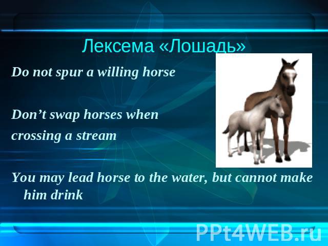 Лексема «Лошадь»Do not spur a willing horse Don’t swap horses when crossing a stream You may lead horse to the water, but cannot make him drink