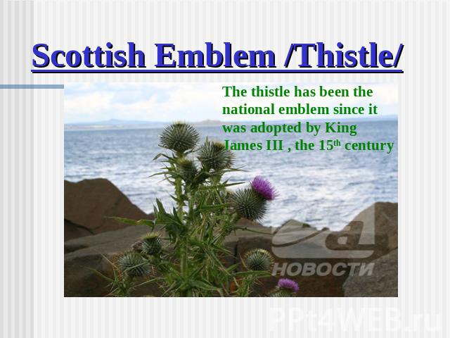 Scottish Emblem /Thistle/ The thistle has been the national emblem since it was adopted by King James III , the 15th century