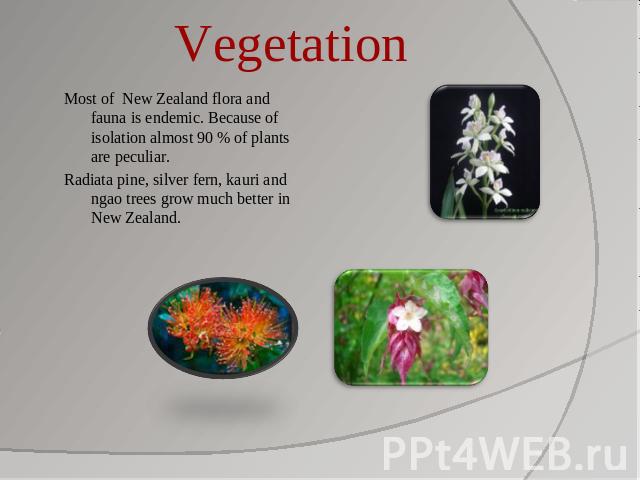 Vegetation Most of New Zealand flora and fauna is endemic. Because of isolation almost 90 % of plants are peculiar.Radiata pine, silver fern, kauri and ngao trees grow much better in New Zealand.